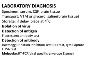 Viral zoonotic disease