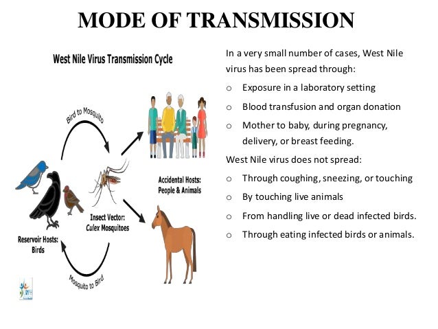 Viral zoonotic disease