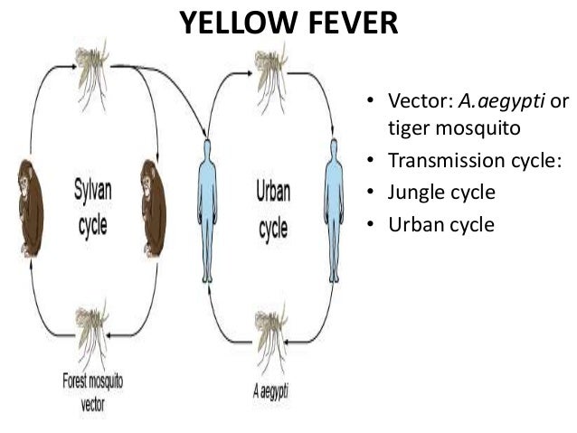 Viral zoonotic disease
