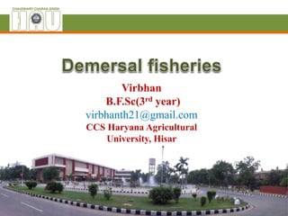 Virbhan
B.F.Sc(3rd year)
virbhanth21@gmail.com
CCS Haryana Agricultural
University, Hisar
 