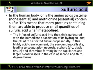 01
Dr. K. Shiva Rama Prasad, at http://www.technoayurveda.com/
Sulfuric acid
Virechana in Panchakarma - 02
• In the human body, only the amino acids cysteine 
(nonessential) and methionine (essential) contain 
sulfur. This means that many proteins containing 
them are able to produce small quantities of 
sulfuric acid when metabolized.
– The influx of sulfuric acid into the skin is partnered 
with the immediate dissociation of its hydrogen ions; 
the pH of the affected tissue drops rapidly. In this 
highly acidic environment, the surrounding cells die, 
leading to coagulation necrosis, eschars (dry, black 
tissue) and thrombus forming in the capillaries and 
larger blood vessels in the case of second and third‐
degree burns.
 