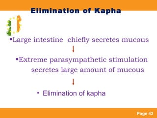 Page 43
Elimination of Kapha
• Elimination of kapha
•Large intestine chiefly secretes mucous
•Extreme parasympathetic stim...