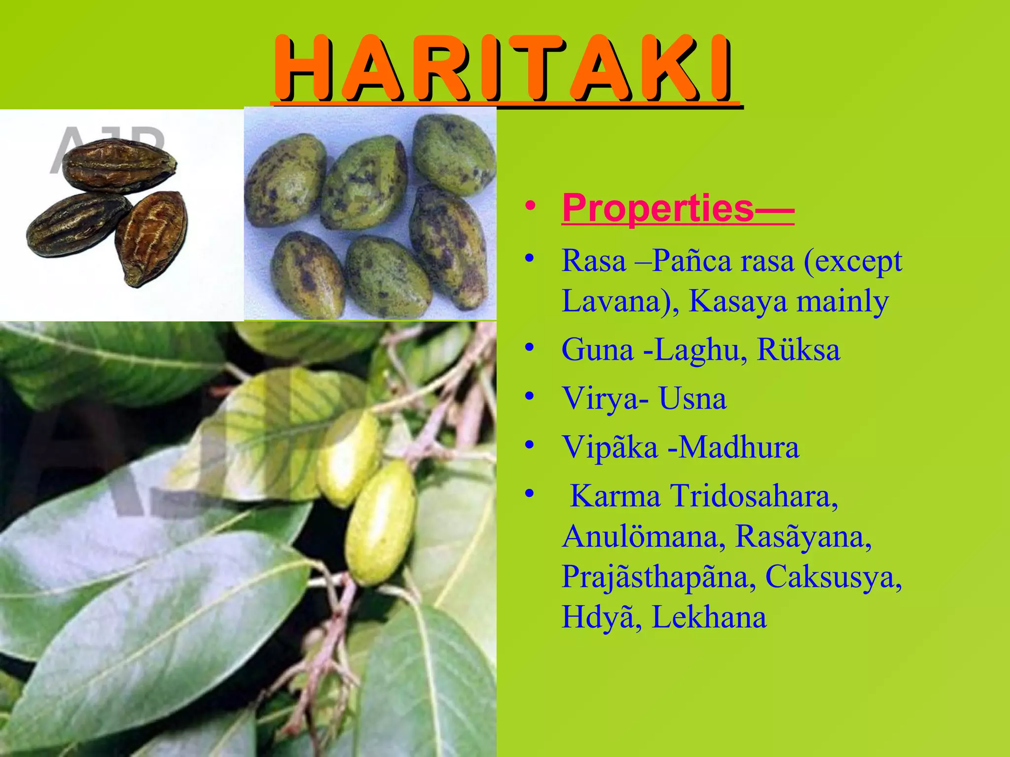 HARITAKI
    • Properties—
    • Rasa –Pañca rasa (except
      Lavana), Kasaya mainly
    • Guna -Laghu, Rüksa
    • Virya- Usna
    • Vipãka -Madhura
    • Karma Tridosahara,
      Anulömana, Rasãyana,
      Prajãsthapãna, Caksusya,
      Hdyã, Lekhana
 