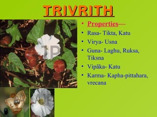 TRIVRITH
    • Properties—
    • Rasa- Tikta, Katu
    • Virya- Usna
    • Guna- Laghu, Ruksa,
      Tiksna
    • Vipãka- ...