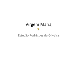 Virgem Maria Estevão Rodrigues de Oliveira 