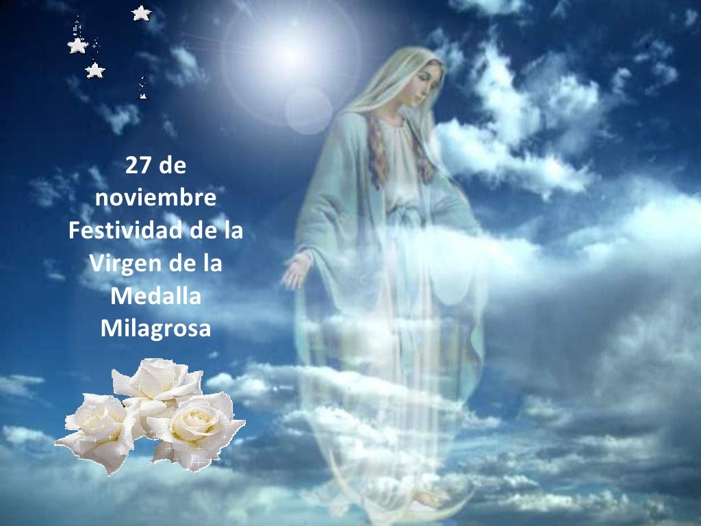 Imagen de consulta de la búsqueda visual
