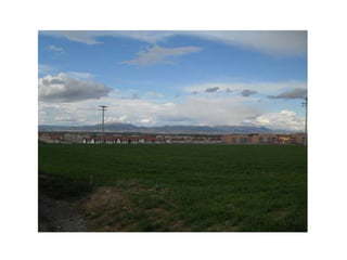 Virgen de guadalupe2