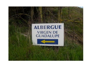 Virgen de guadalupe2