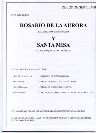 Virgen del rosario 2012