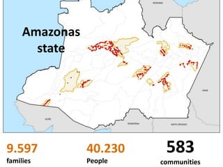 Lessons learned from sustainable development in the Amazon | PDF