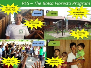 Lessons learned from sustainable development in the Amazon | PDF
