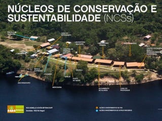 Lessons learned from sustainable development in the Amazon | PDF
