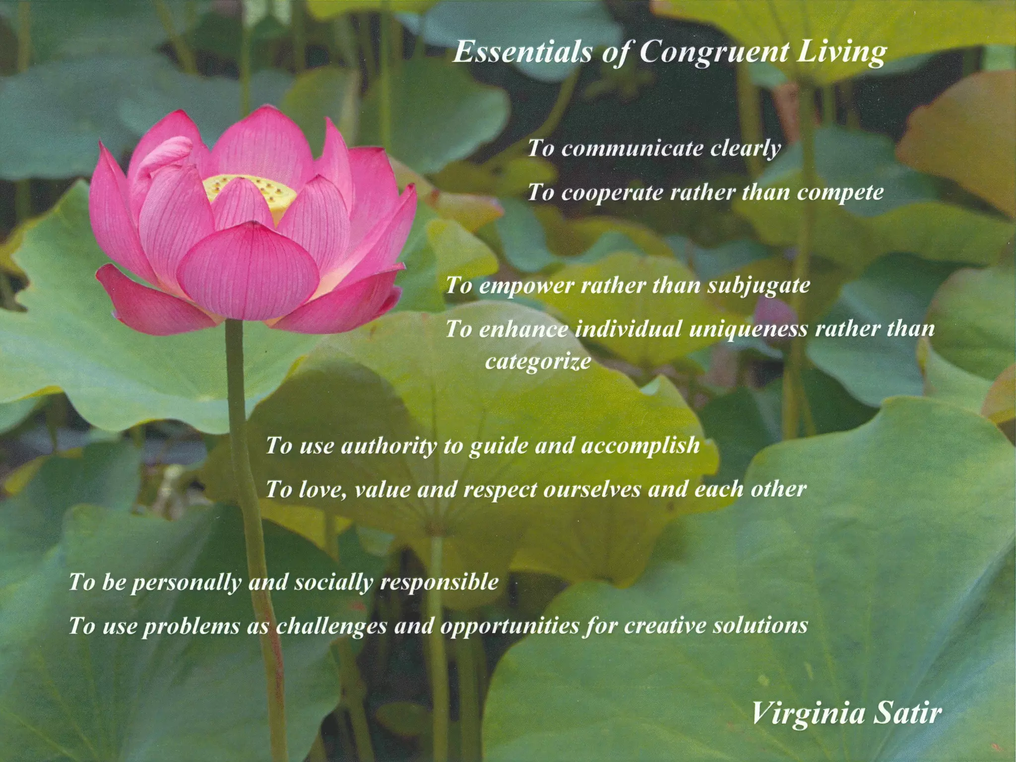 Virginia Satir | PPT