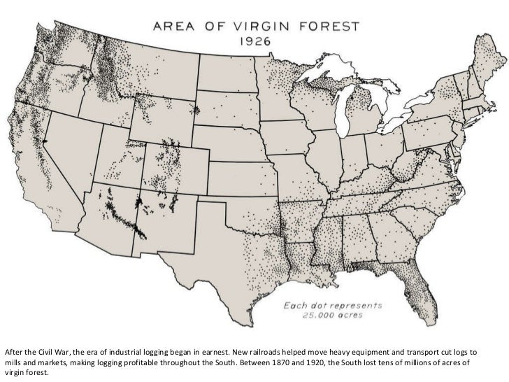 Virgin Forests Cover in the U.S.