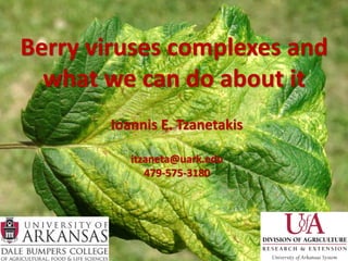 Berry viruses complexes and
  what we can do about it
       Ioannis E. Tzanetakis

          itzaneta@uark.edu
             479-575-3180
 