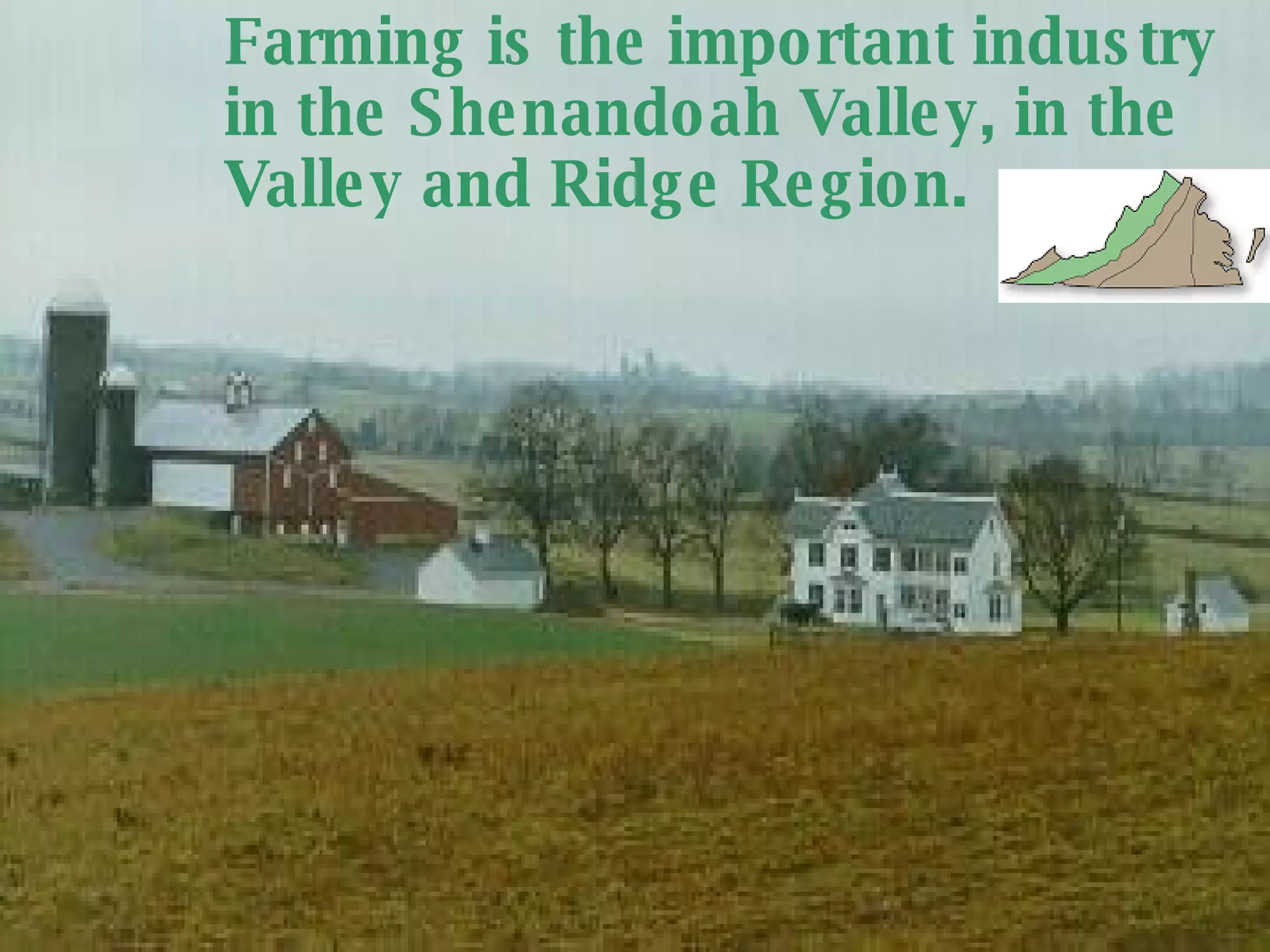 Farming is the important industry in the Shenandoah Valley, in the Valley and Ridge Region. 