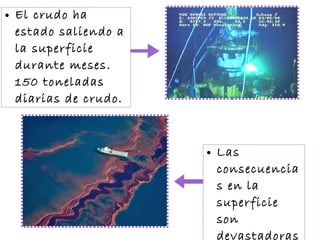 El crudo ha estado saliendo a la superficie durante meses. 150 toneladas diarias de crudo. Las consecuencias en la superficie son devastadoras 