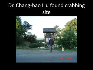 Dr. Chang-bao Liu found crabbing
              site
 