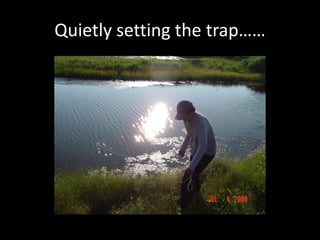 Quietly setting the trap……
 