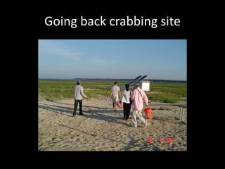 Going back crabbing site
 