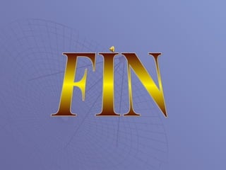 FIN 