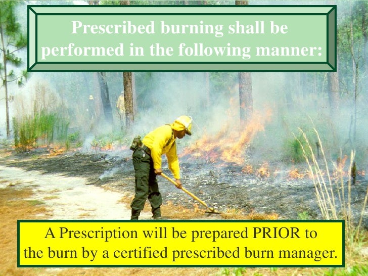 Virginia Fire Burning Laws