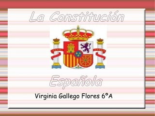 Virginia Gallego Flores 6ºA 