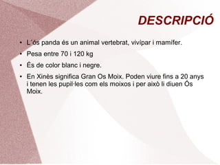 DESCRIPCIÓ
● L´ós panda és un animal vertebrat, vivípar i mamífer.
● Pesa entre 70 i 120 kg
● És de color blanc i negre.
● En Xinès significa Gran Os Moix. Poden viure fins a 20 anys
i tenen les pupil·les com els moixos i per això li diuen Ós
Moix.
 