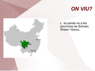 ON VIU?
L´ ós panda viu a les
províncies de Sichuan,
Shaan i Gansu.
 