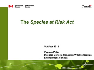 The Species at Risk Act




          October 2012

          Virginia Poter
          Director General Canadian Wildlife Service
          Environment Canada
 