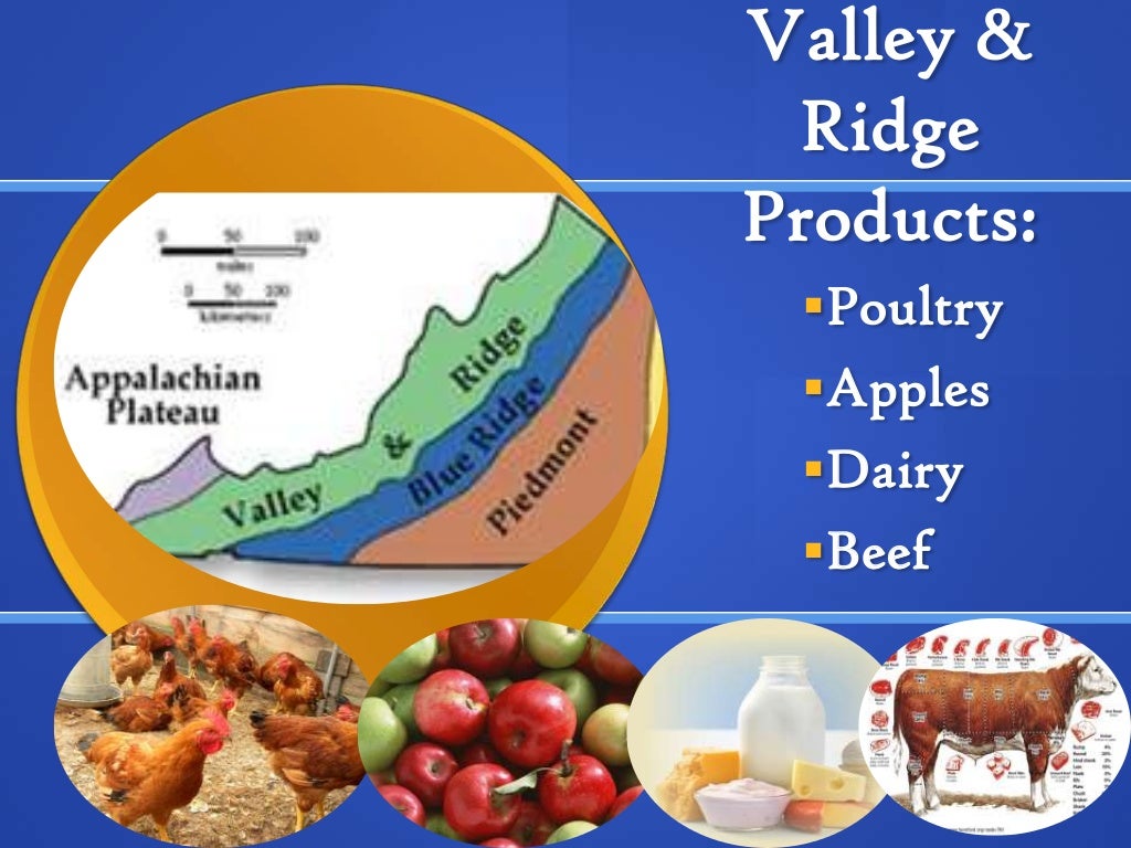 Virginia products & industries