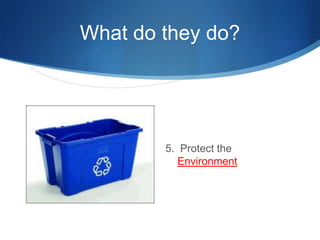What do they do?5.  Protect the Environment