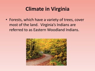 Climate in Virginia 
• Forests, which have a variety of trees, cover 
most of the land. Virginia’s Indians are 
referred to as Eastern Woodland Indians. 
 