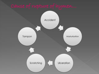 Cause of rupture of hymen…
Accident
Masturbation
UlcerationScratching
Tampon
 