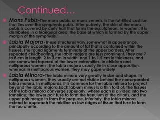  Mons Pubis-The mons pubis, or mons veneris, is the fat-filled cushion
that lies over the symphysis pubis. After puberty, the skin of the mons
pubis is covered by curly hair that forms the escutcheon. In women, it is
distributed in a triangular area, the base of which is formed by the upper
margin of the symphysis.
 Labia Majora-These structures vary somewhat in appearance,
principally according to the amount of fat that is contained within the
tissues. The round ligaments terminate at the upper borders. After
repeated childbearing, the labia majora are less prominent. They are 7
to 8 cm in length, 2 to 3 cm in width, and 1 to 1.5 cm in thickness, and
are somewhat tapered at the lower extremities. In children and
nulliparous women , the labia majora usually lie in close apposition,
whereas in multiparous women, they may gape widely
 Labia Minora-The labia minora vary greatly in size and shape. In
nulliparous women, they usually are not visible behind the nonseparated
labia majora. In multiparas, it is common for the labia minora to project
beyond the labia majora,Each labium minus is a thin fold of. The tissues
of the labia minora converge superiorly, where each is divided into two
lamellae; the lower pair fuse to form the frenulum of the clitoris, and the
upper pair merge to form the prepuce. Inferiorly, the labia minora
extend to approach the midline as low ridges of tissue that fuse to form
the fourchette.
 