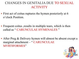 CHANGES IN GENITALIA DUE TO SEXUAL
ACTIVITY
 First act of coitus ruptures the hymen posteriorly at 6
o’clock Position.
 Frequent coitus ,results in multiple tears, which is then
called as “ CARUNCULAE HYMENALES ”
 After Preg & Delivery hymen will almost be absent except a
marginal attachment – “ CARUNCULAE
MYRTIFORMES”
 