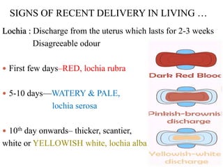 Lochia : Discharge from the uterus which lasts for 2-3 weeks
Disagreeable odour
 First few days–RED, lochia rubra
 5-10 days—WATERY & PALE,
lochia serosa
 10th day onwards– thicker, scantier,
white or YELLOWISH white, lochia alba
SIGNS OF RECENT DELIVERY IN LIVING …
 