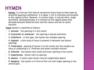 Virginity Sexual Offenses And PPT