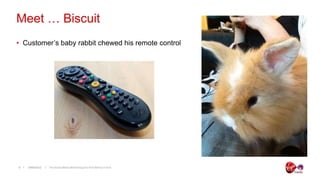 Meet … Biscuit
• Customer’s baby rabbit chewed his remote control




9   19/06/2012   The Social Media Monitoring and ROI Metrics Forum
 