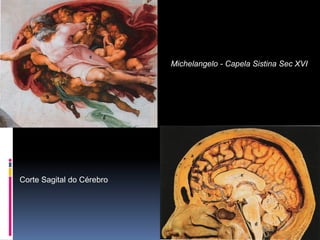 Michelangelo - Capela Sistina Sec XVI




Corte Sagital do Cérebro
 