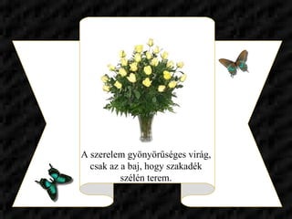 A szerelem gyönyörűséges virág, csak az a baj, hogy szakadék szélén terem. 