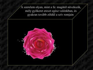 A szerelem olyan, mint a fa: magától növekszik, mély gyökeret ereszt egész valónkban, és gyakran tovább zöldül a szív romjain  