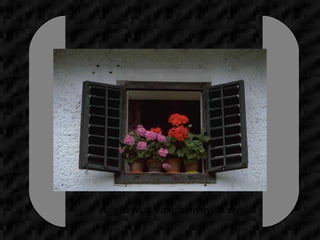 Az elszáradt virág nem nyílik újra! 