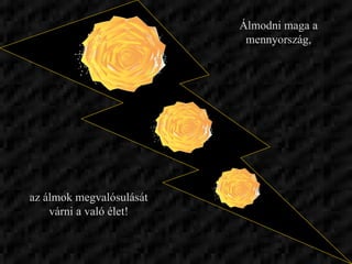 Álmodni maga a mennyország, az álmok megvalósulását várni a való élet! 