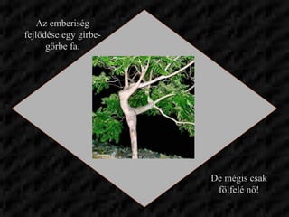 Az emberiség fejlődése egy girbe-görbe fa. De mégis csak fölfelé nő! 