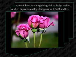 A rózsát keresve esetleg elmegyünk az ibolya mellett. A sikert hajszolva esetleg elmegyünk az örömök mellett. 