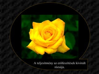 A teljesítmény az erőfeszítések kivirult rózsája. 