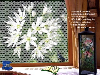 A virágok remény nélkül élnek. Ennek az az oka, hogy a HOLNAP a remény, és a virágok számára nincs HOLNAP .   Antonio Porchia   