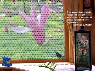 A tél végén, tavasz elején megjelenő virágok szívünkben a méretüknél sokkal nagyobb helyet foglalnak el .   Gertrude S. Wister   