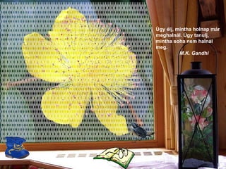 Úgy élj, mintha holnap már meghalnál. Úgy tanulj, mintha soha nem halnál meg .  M.K. Gandhi 